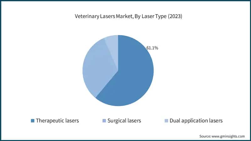 Veterinary Lasers Market, By Laser Type (2023)