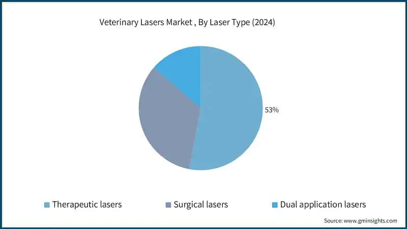 Veterinary Lasers Market , By Laser Type (2024)