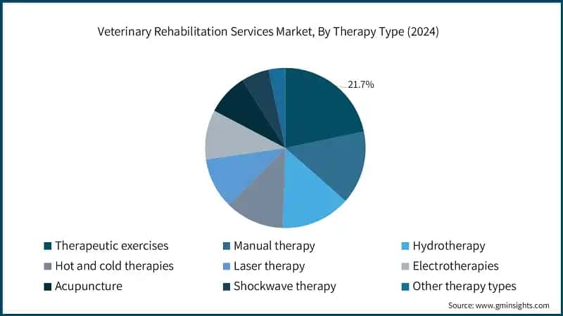 Veterinary Rehabilitation Services Market, By Therapy Type (2024)