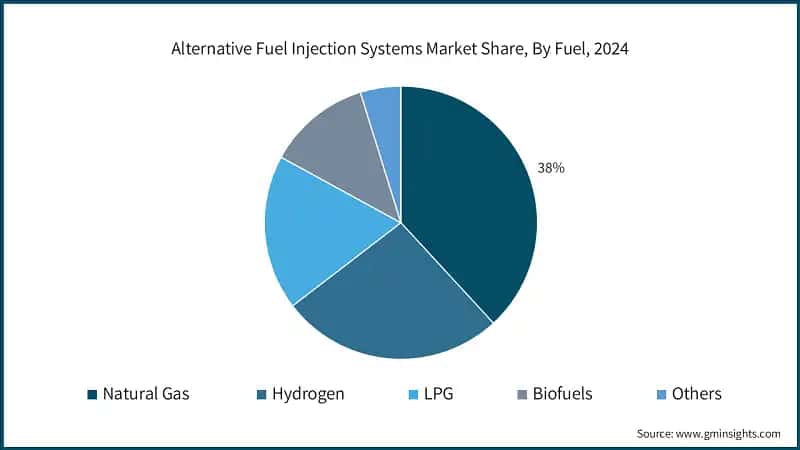 Alternative Fuel Injection Systems Market Share, By Fuel, 2024