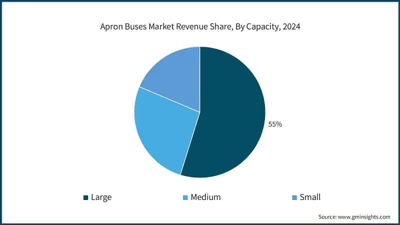 Apron Buses Market Revenue Share, By Capacity, 2024