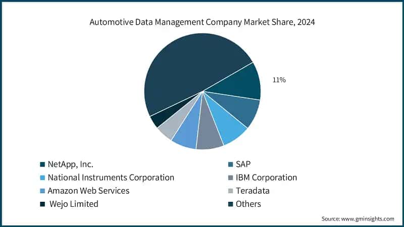 Automotive Data Management Company Market Share, 2024
