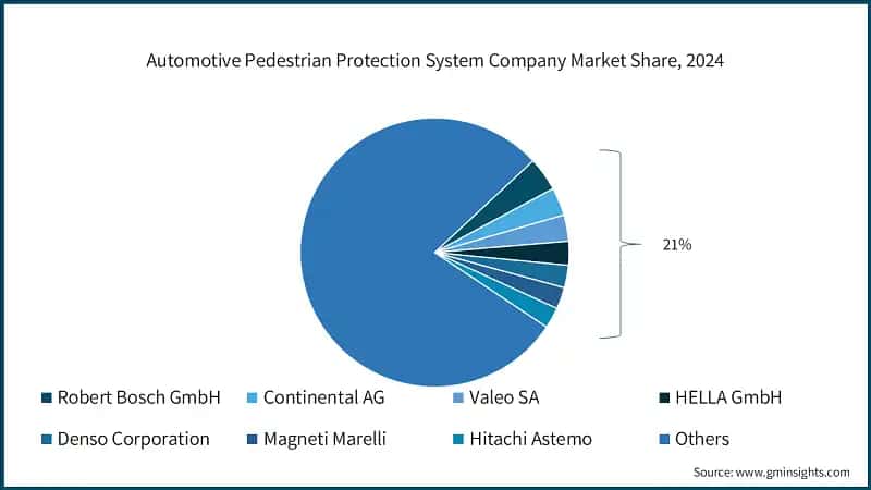 Automotive Pedestrian Protection System Company Market Share, 2024