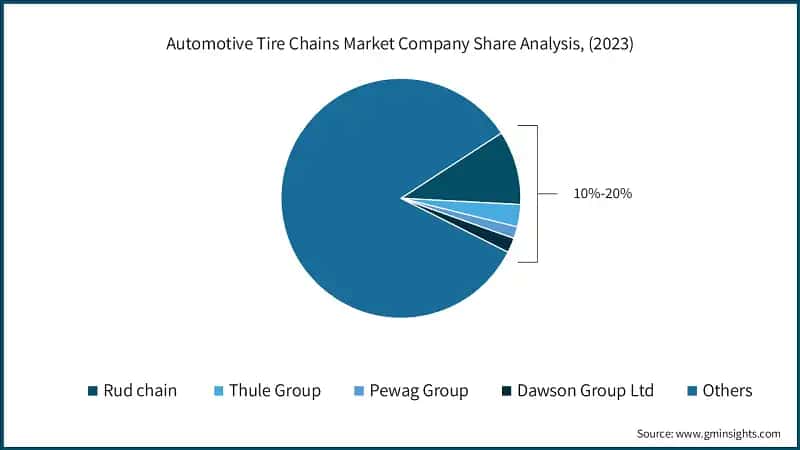 Automotive Tire Chains Market Company Share Analysis, (2023)