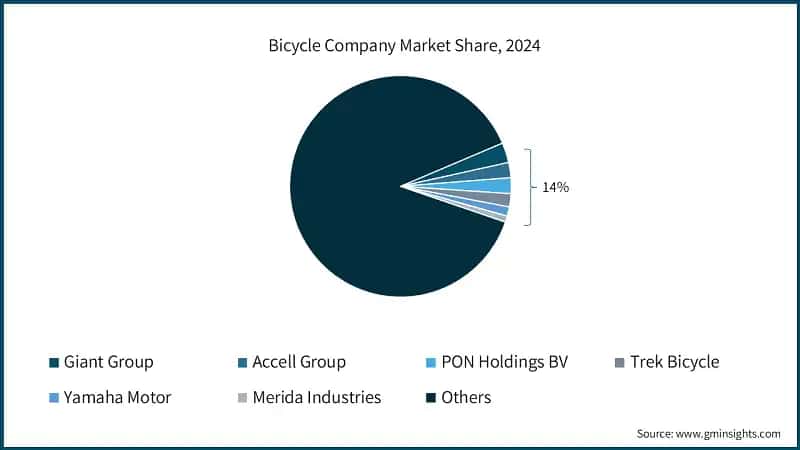 Bicycle Company Market Share, 2024