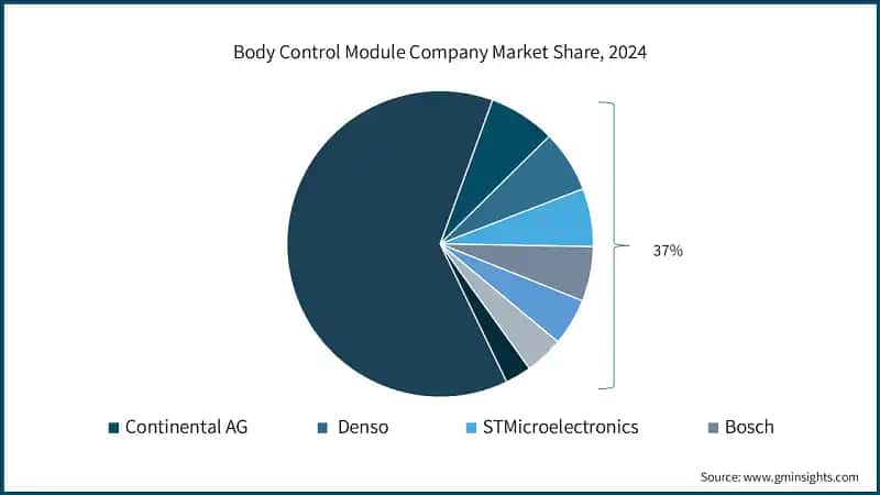 Body Control Module Company Market Share, 2024