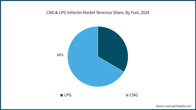 CNG & LPG Vehicles Market Revenue Share, By Fuel, 2024