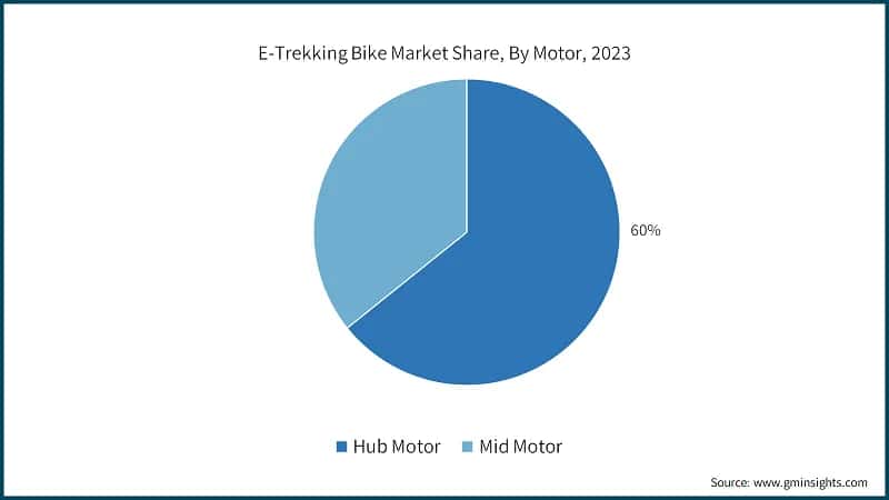 E-Trekking Bike Market Share, By Motor, 2023