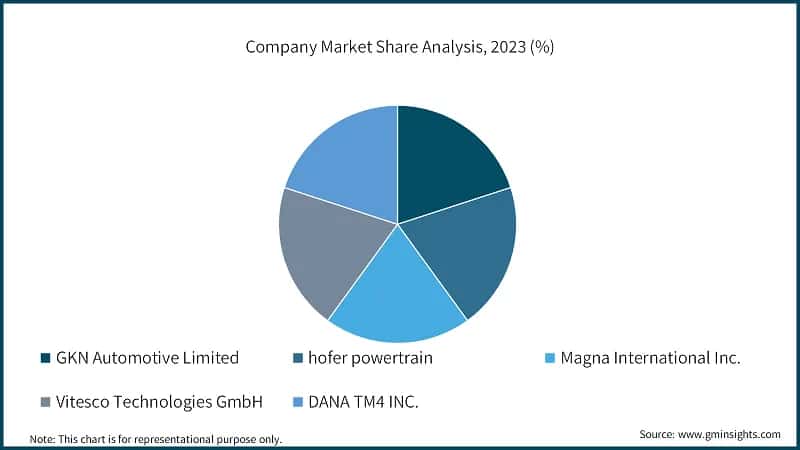 Company Market Share Analysis, 2023 (%)