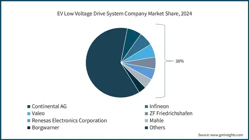 EV Low Voltage Drive System Company Market Share, 2024