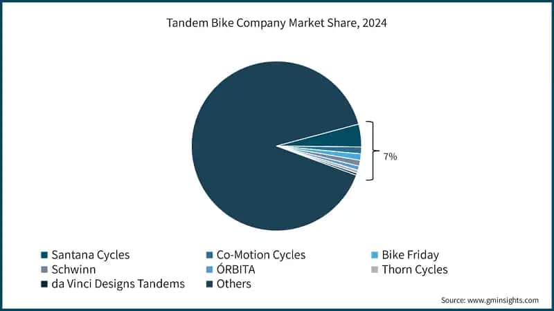 Tandem Bike Market  Company Share,2024