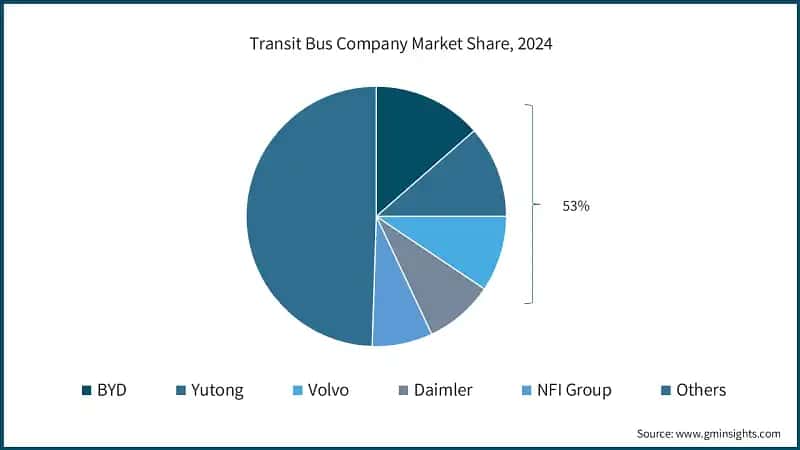 Transit Bus Company Market Share, 2024