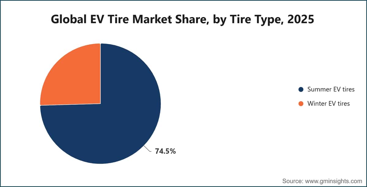 Global EV Tire Market Share, by Tire Type, 2025