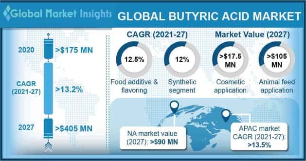 Butyric Acid Market Outlook