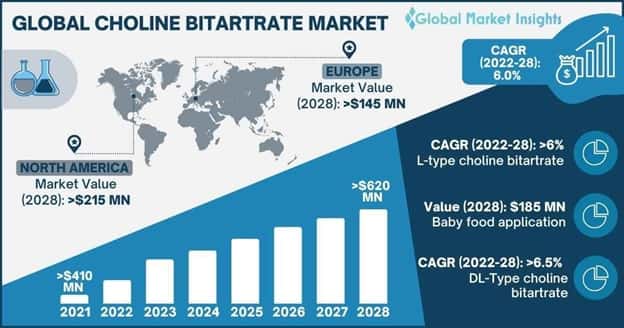 Choline Bitartrate Market 