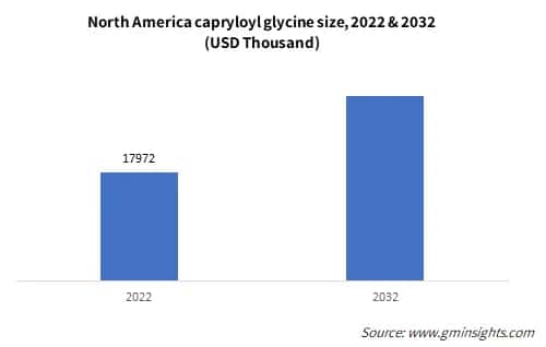 North America capryloyl glycine size