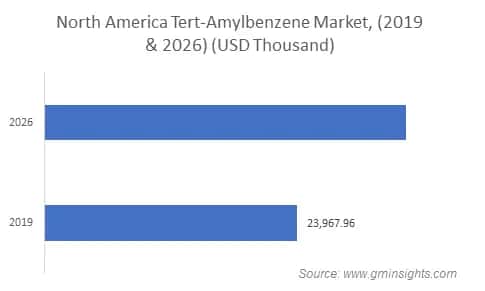 Tert-Amylbenzene Market by Region