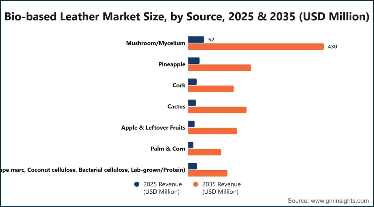Bio Based Leather Market Size By Source 2025 And 2035 Usd Million