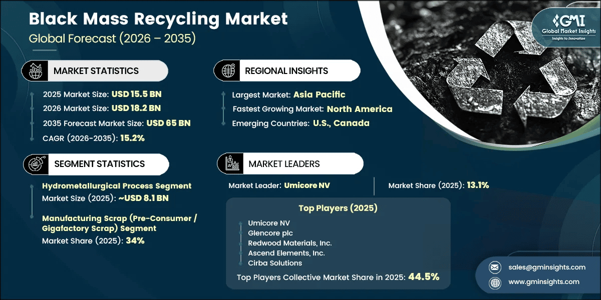 Black Mass Recycling Market Research Report