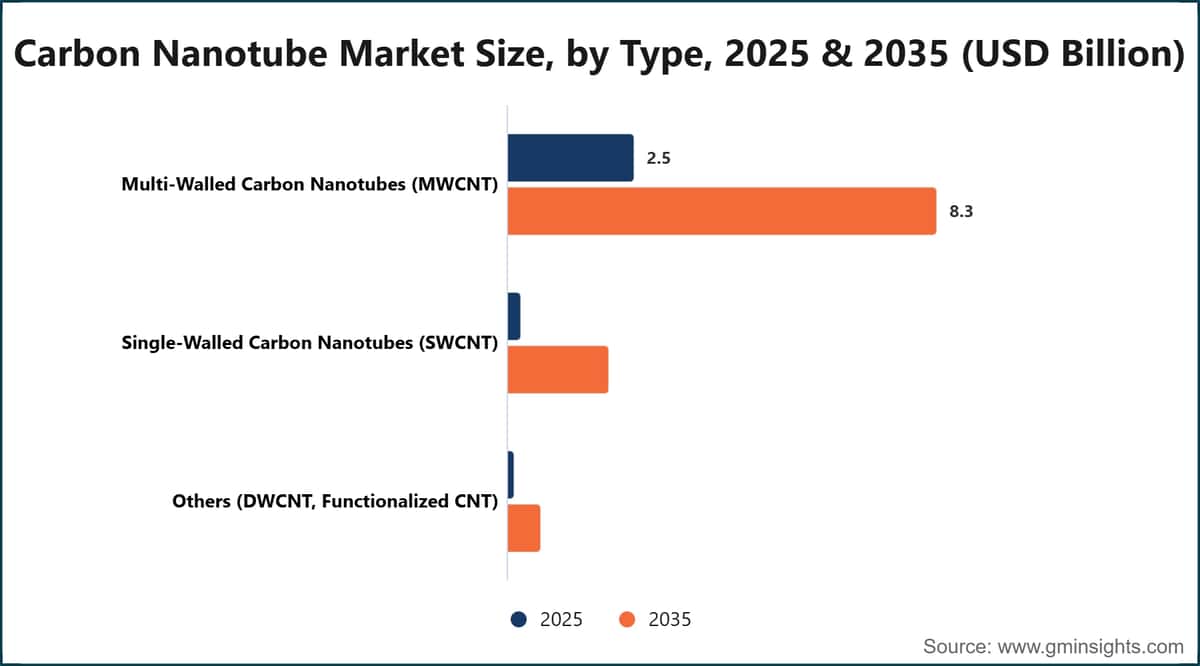 Carbon Nanotube Market Size, by Type, 2025 & 2035 (USD Billion)