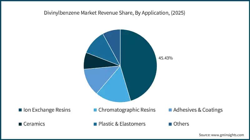 quota dei ricavi del mercato del divinilbenzene per applicazione 2026-2035