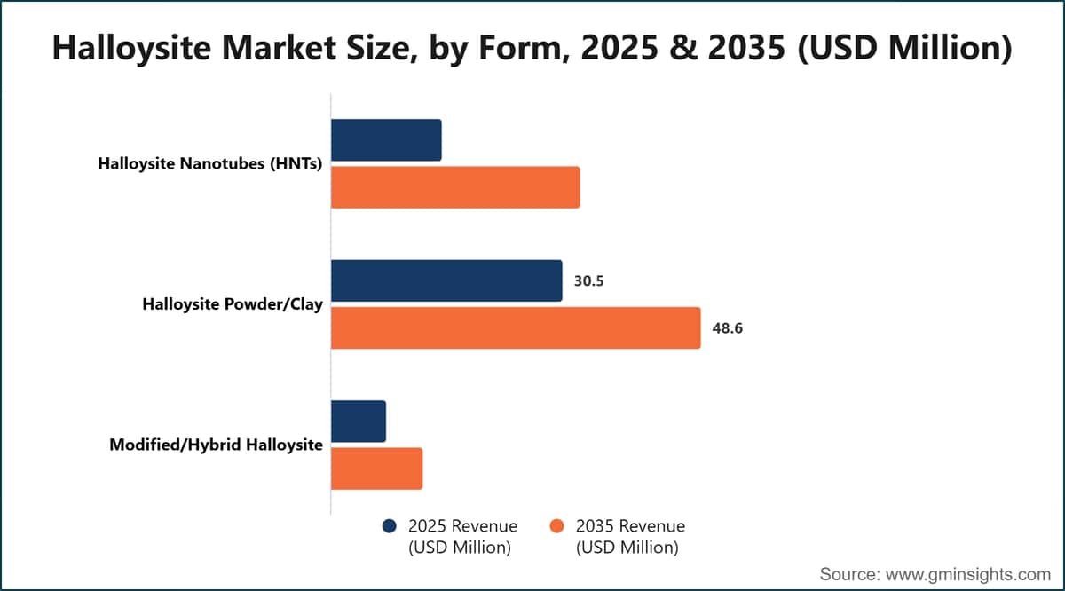 Halloysite Market Size, by Form, 2025 & 2035 (USD Million)