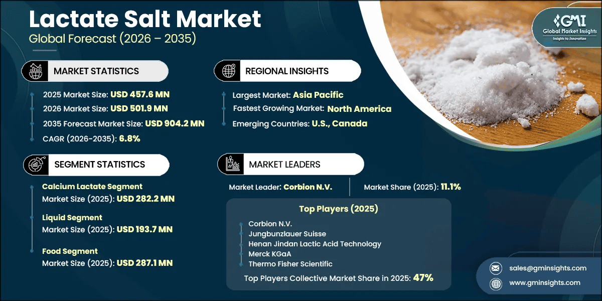 Lactate Salt Market Research Report