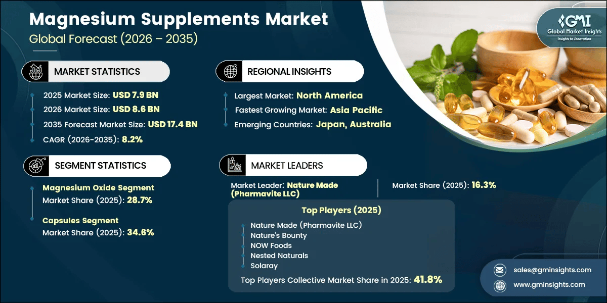 Magnesium Supplements Market Research Report