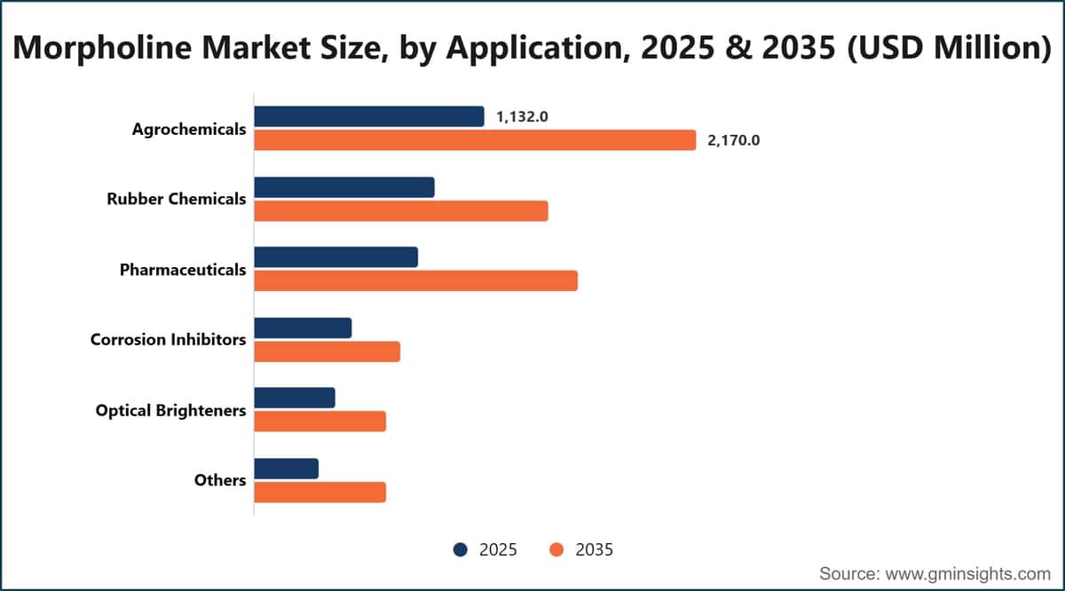 Taille du marché de la morpholine, par application, 2025 et 2035 (millions de dollars américains)
