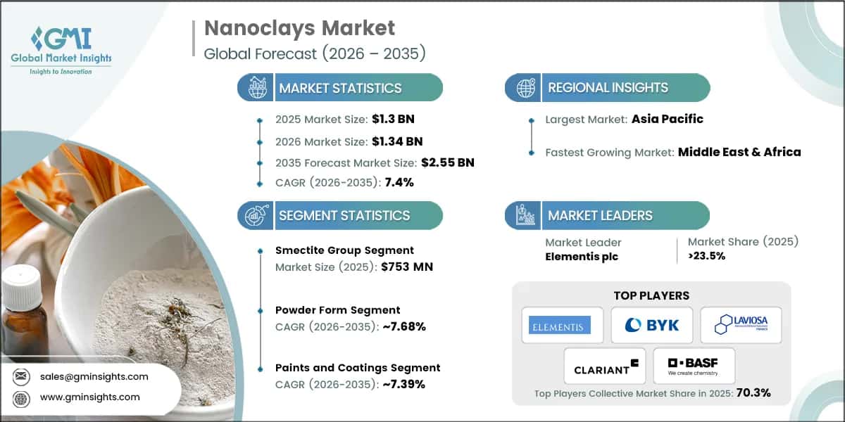 Informe de investigación del mercado de nanoarcillas