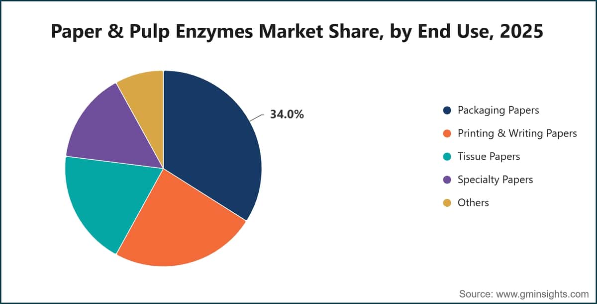Paper & Pulp Enzymes Market Share, by End Use, 2025