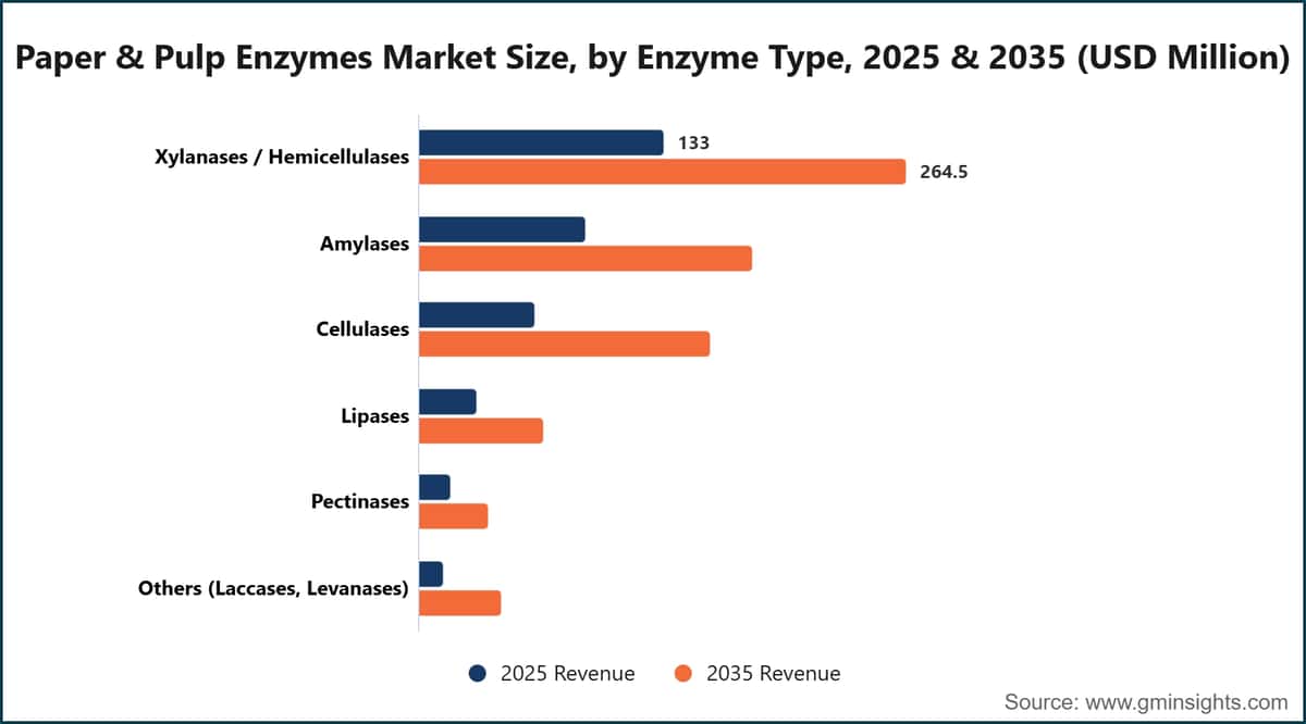 Paper & Pulp Enzymes Market Size, by Enzyme Type, 2025 & 2035 (USD Million)