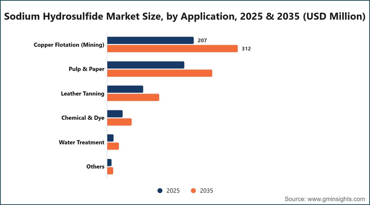 Sodium Hydrosulfide Market Size, by Application, 2025 & 2035 (USD Million)