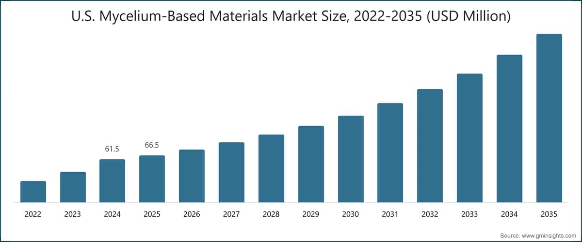  U.S. Mycelium-Based Materials&nbsp;Market Size, 2022-2035 (USD Million)