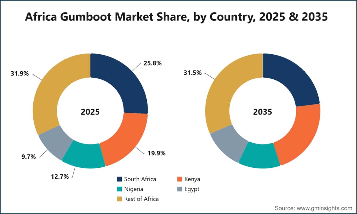 Africa Gumboot Market Share, by Country, 2025 & 2035