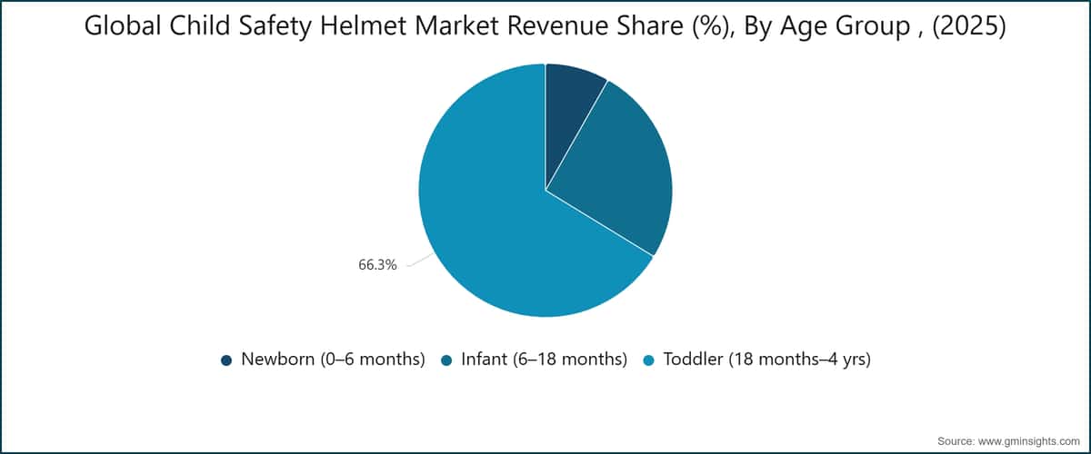Global Child Safety Helmet Market Revenue Share (%), By Age Group , (2025)