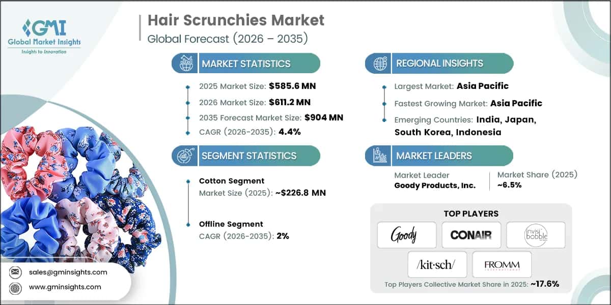 Informe de investigación del mercado de coleteros para el cabello