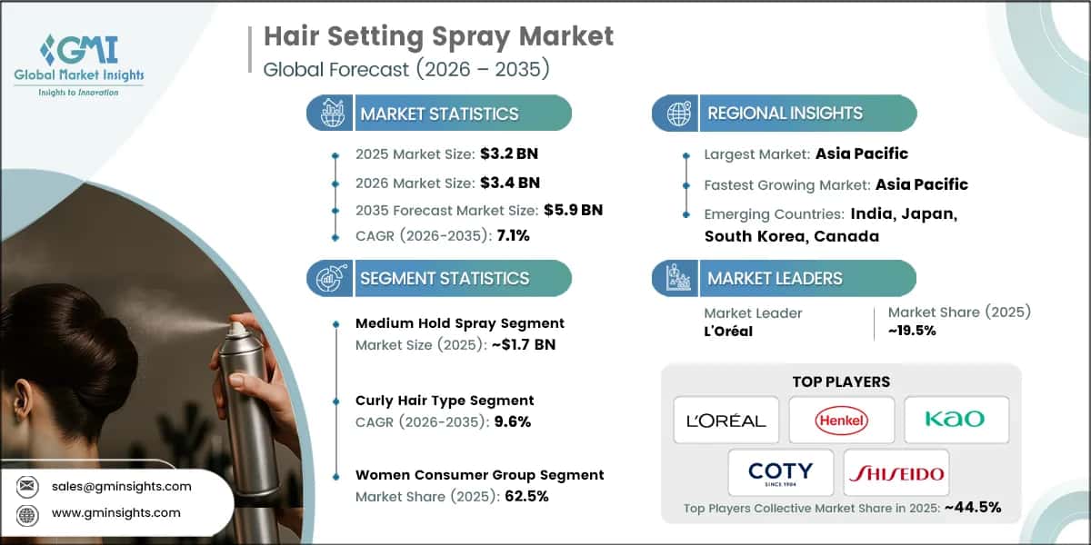 Hair Setting Spray Market Research Report