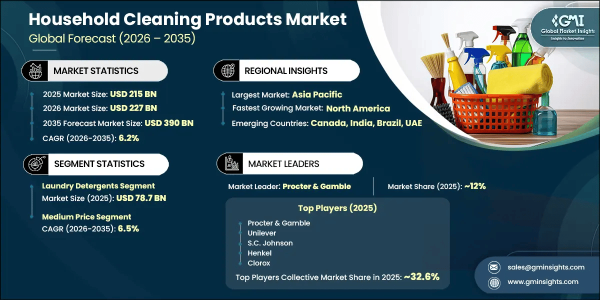 Household Cleaning Products Market Research Report