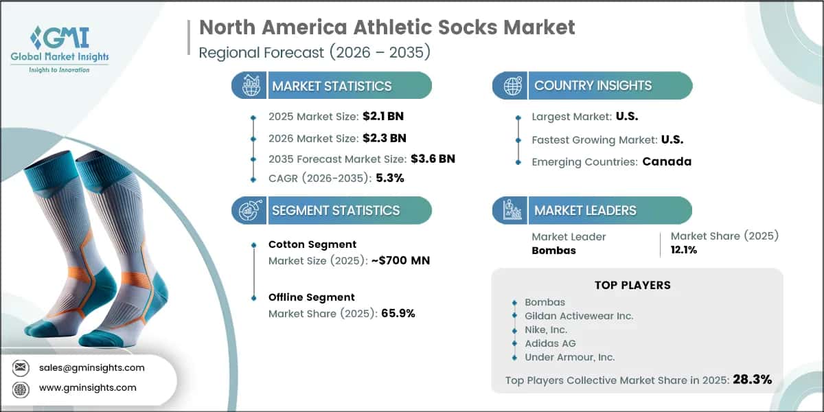 Report di ricerca sul mercato delle calze sportive del Nord America