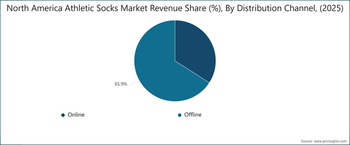  North America Athletic Socks Market Revenue Share (%), By Distribution Channel, (2025)