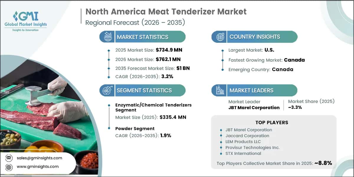 North America Meat Tenderizer Market Research Report
