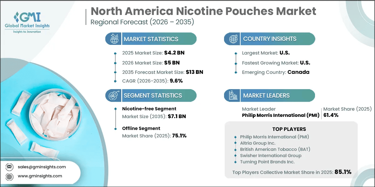 North America Nicotine Pouches Market Research Report