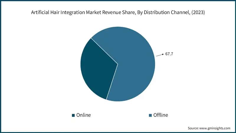 Artificial Hair Integration Market Revenue Share, By Distribution Channel, (2023)