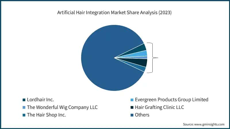 Artificial Hair Integration Market Share Analysis (2023)