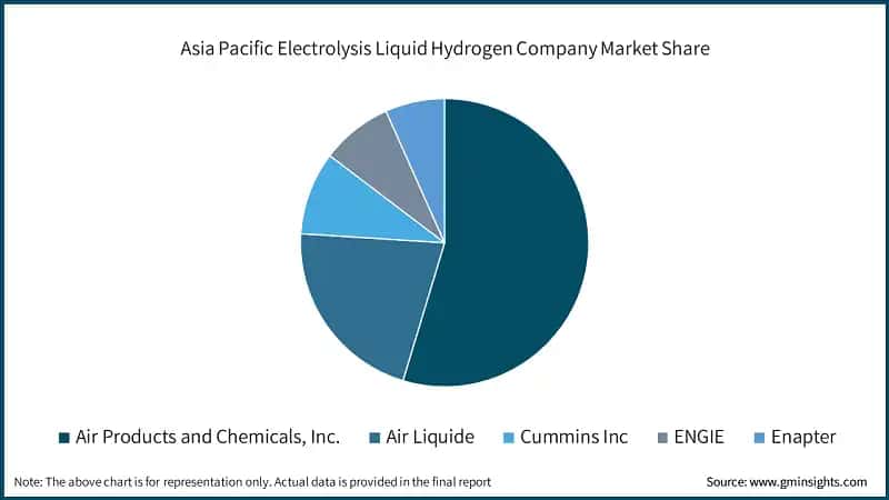 Asia Pacific Electrolysis Liquid Hydrogen Company Market Share