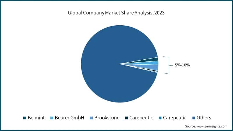 Global Company Market Share Analysis, 2023