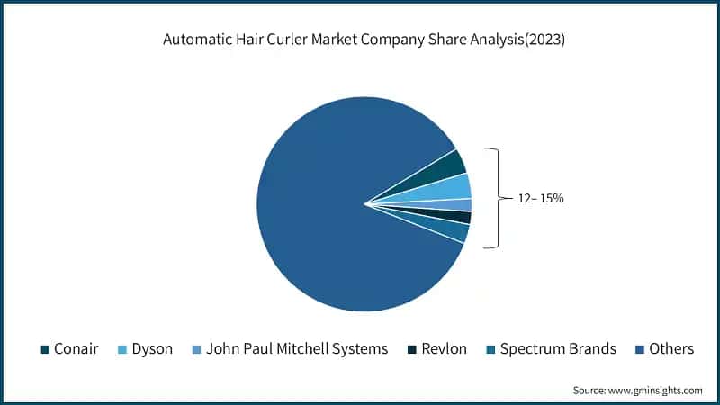 Automatic Hair Curler Market Company Share Analysis(2023)