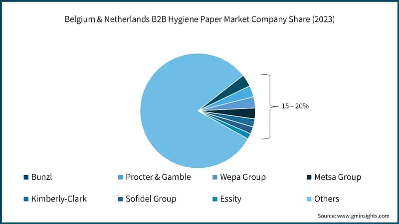 Belgium & Netherlands B2B Hygiene Paper Market Company Share (2023)