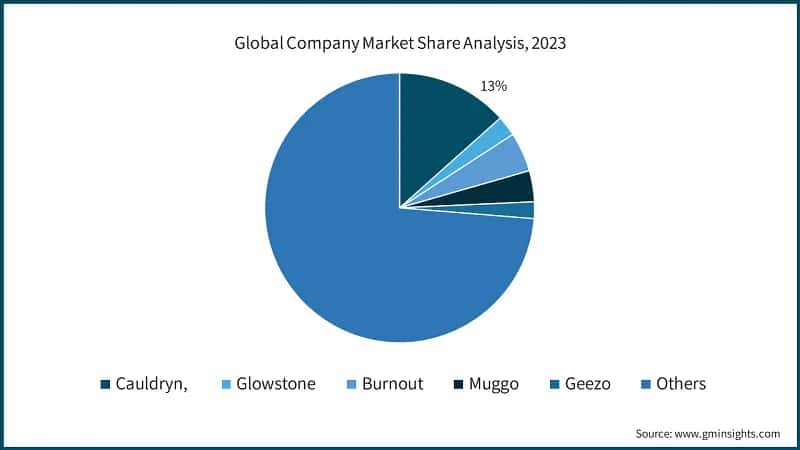 Global Company Market Share Analysis, 2023